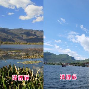 洱?？蛻艉此萸謇硇Ч故?></div>
														<div   id=